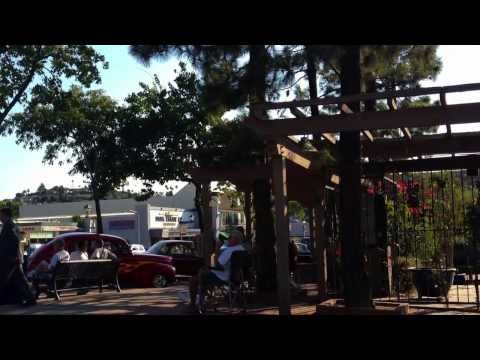 La Mesa Historic Porter Hill Walk by Terra K.