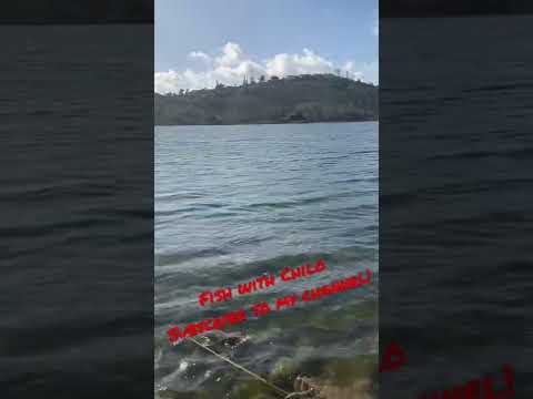 Checking out Lake Murray La Mesa Cool place to chill relax and fish! video thumbnail